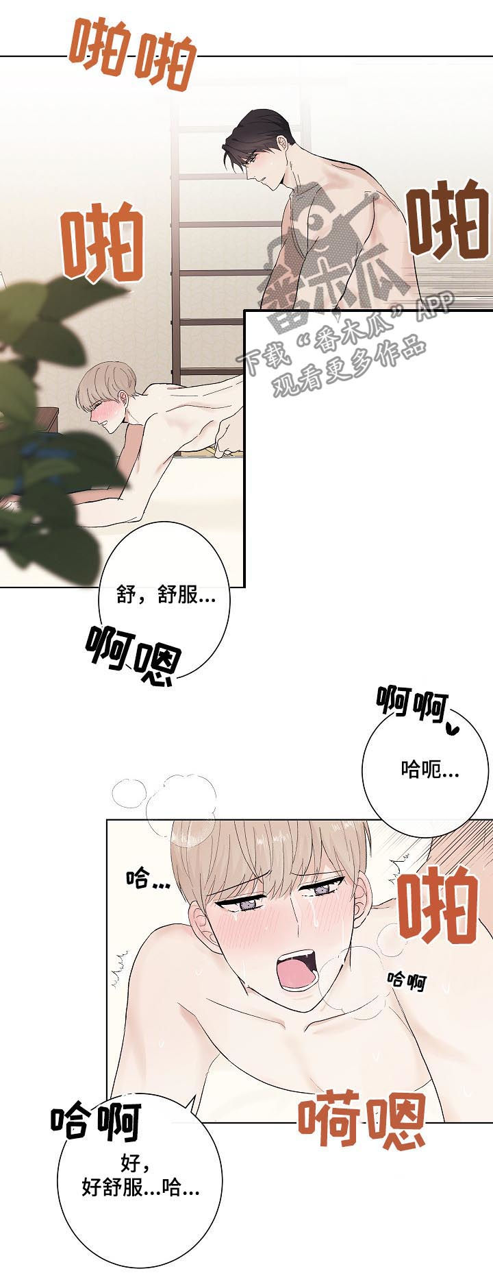 爱排气很臭怎么回事漫画,第35章：秦晟才3图