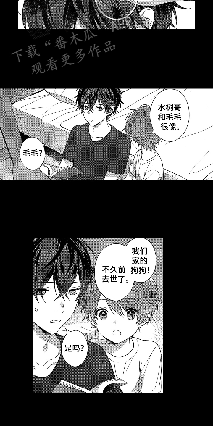 融化的吻漫画,第17章：摸头发5图