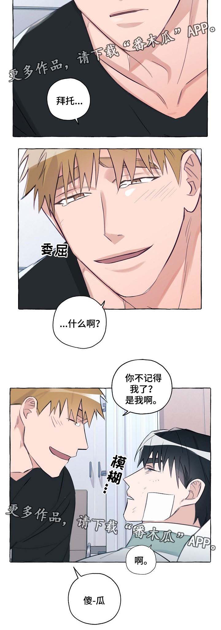 冤家组合日常趣事漫画,第37章：出院4图