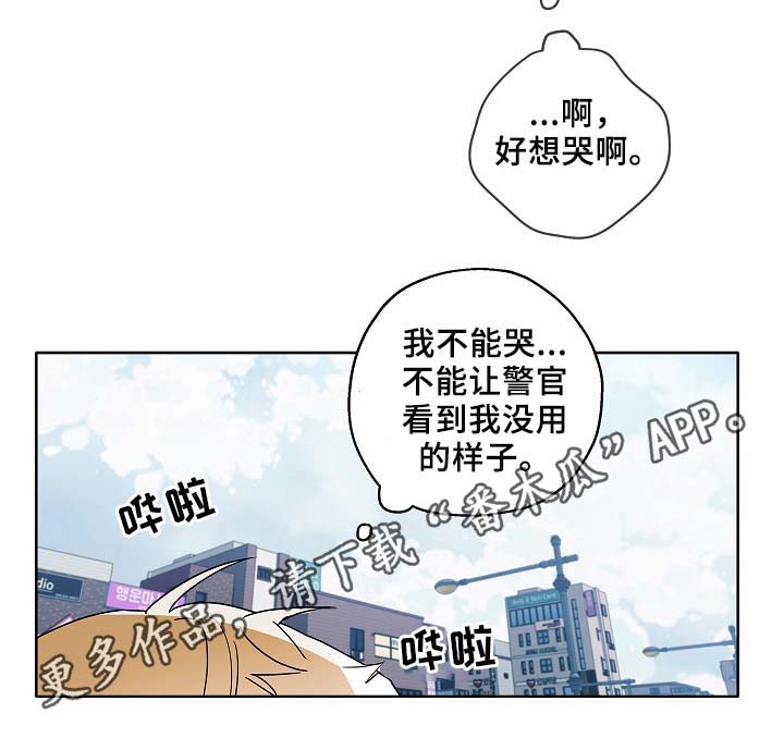 冤家组合金牛天蝎漫画,第47章：判决3图