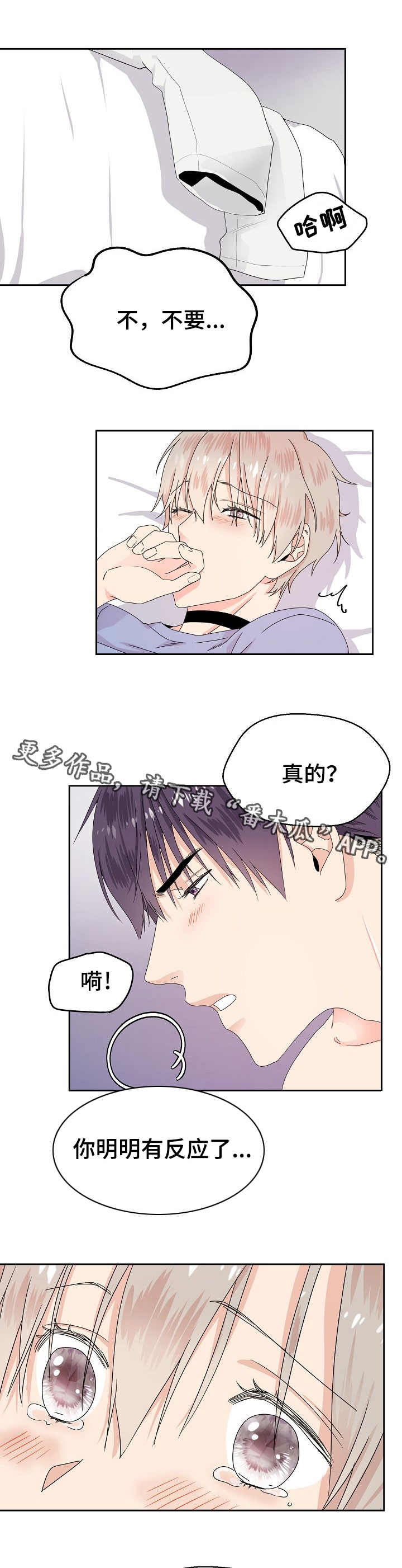 第5章：信息素2