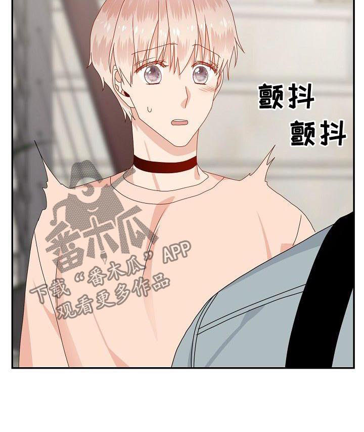 欧米茄久经沙场漫画,第41章：走吧2图