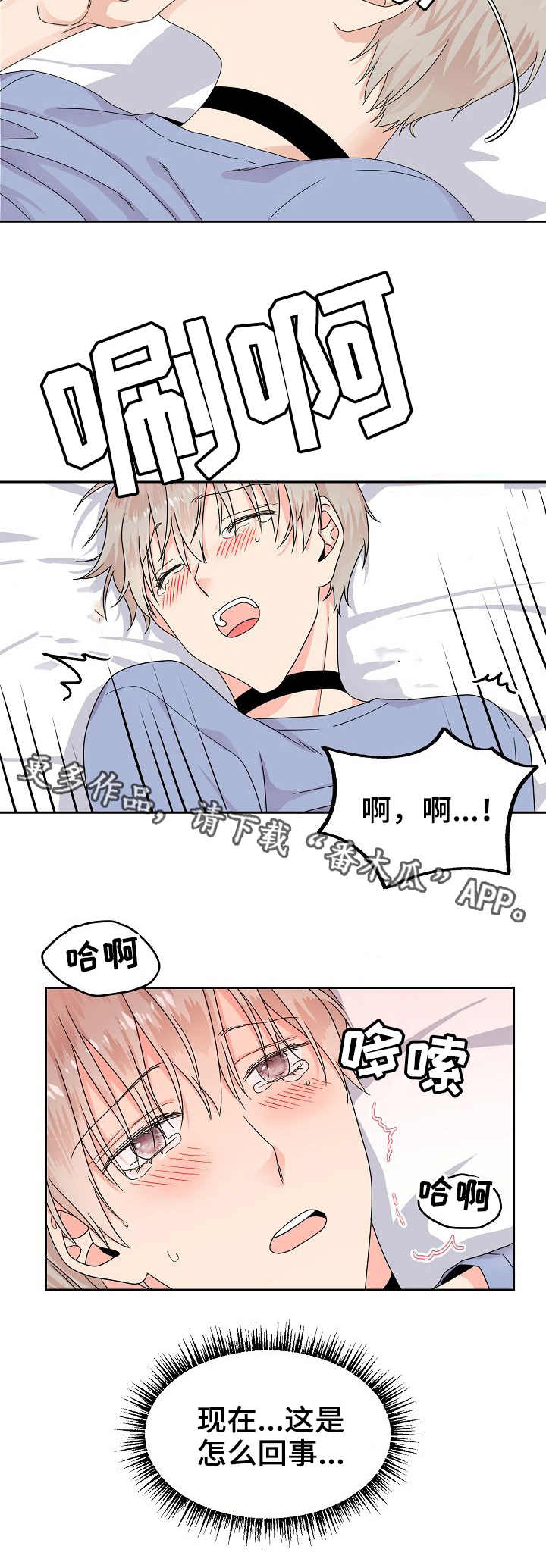 第5章：信息素4