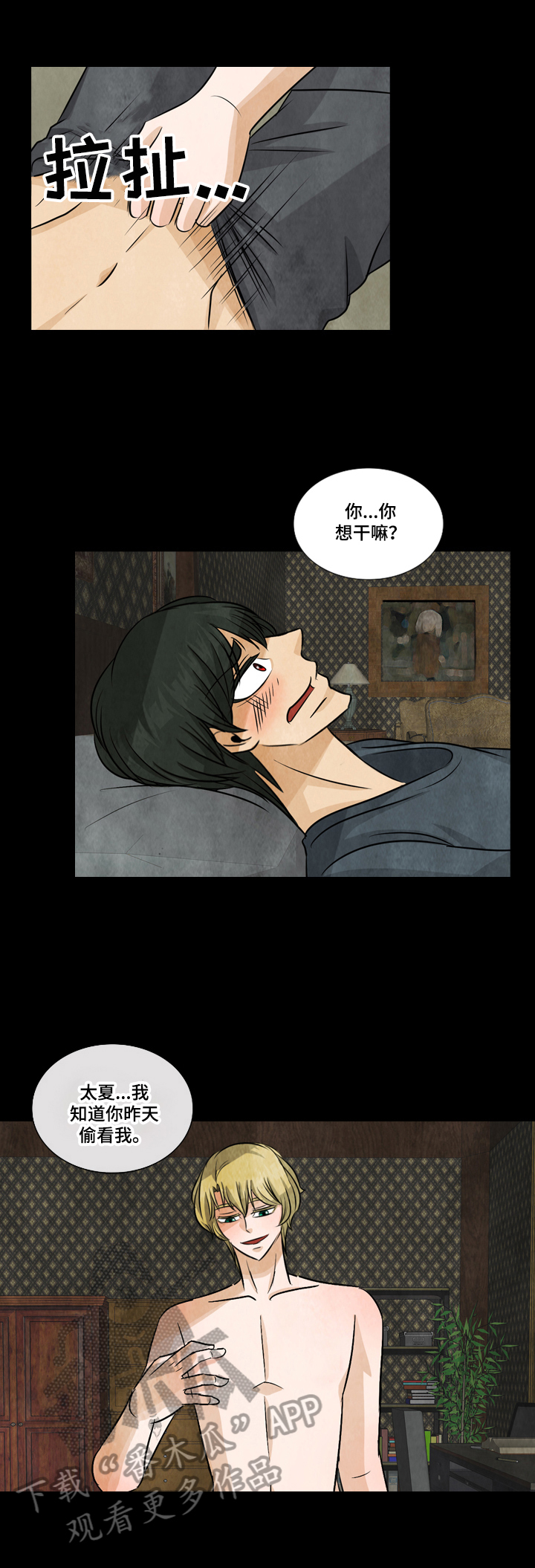盲区电视剧剧情介绍漫画,第10章：绮梦3图