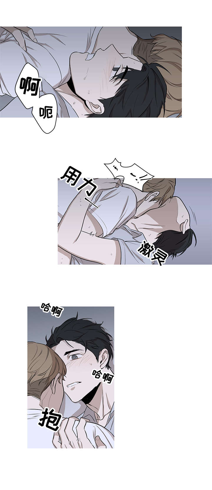飞鸟归巢漫画,第11章：消失3图