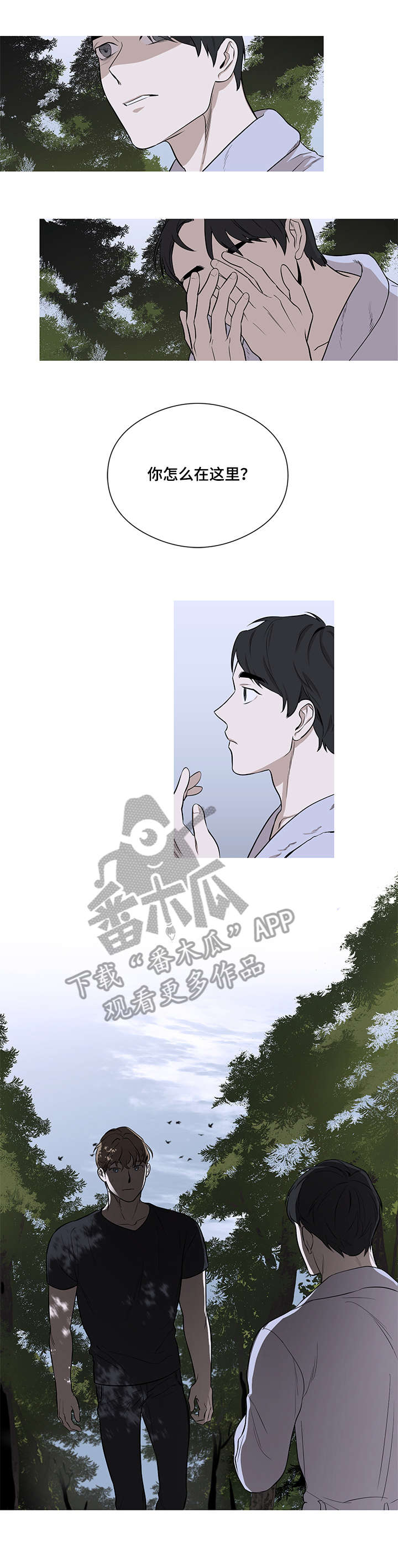 飞鸟归巢漫画,第12章：想家（完结）1图