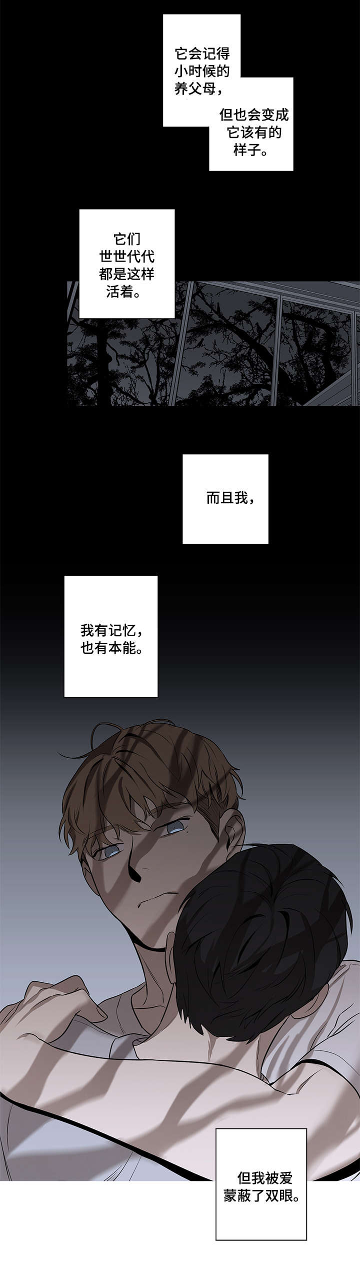 飞鸟归巢漫画,第10章：不会让你逃开2图