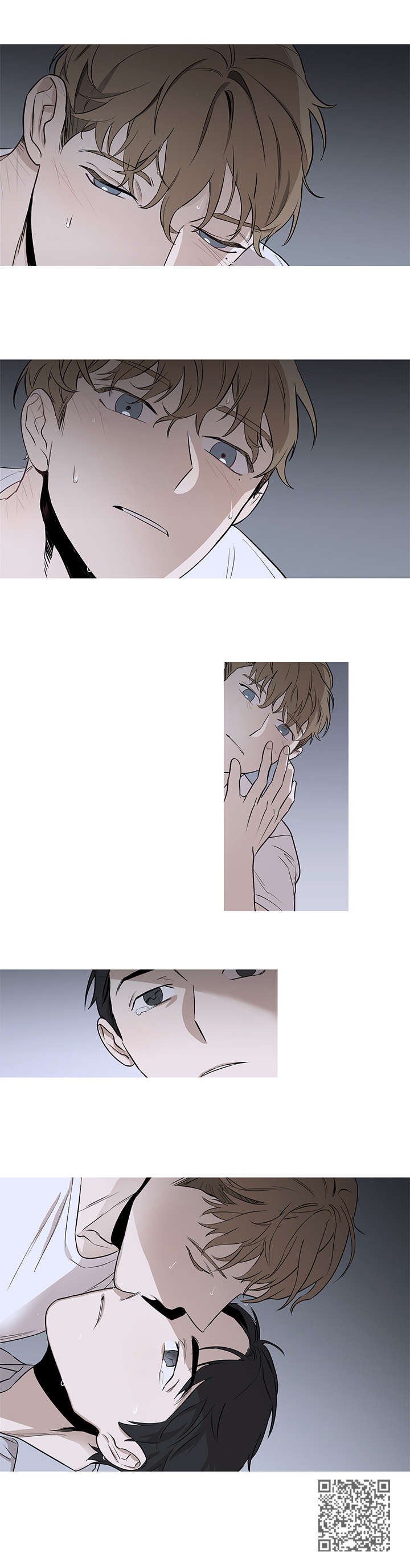 飞鸟归巢漫画,第11章：消失5图
