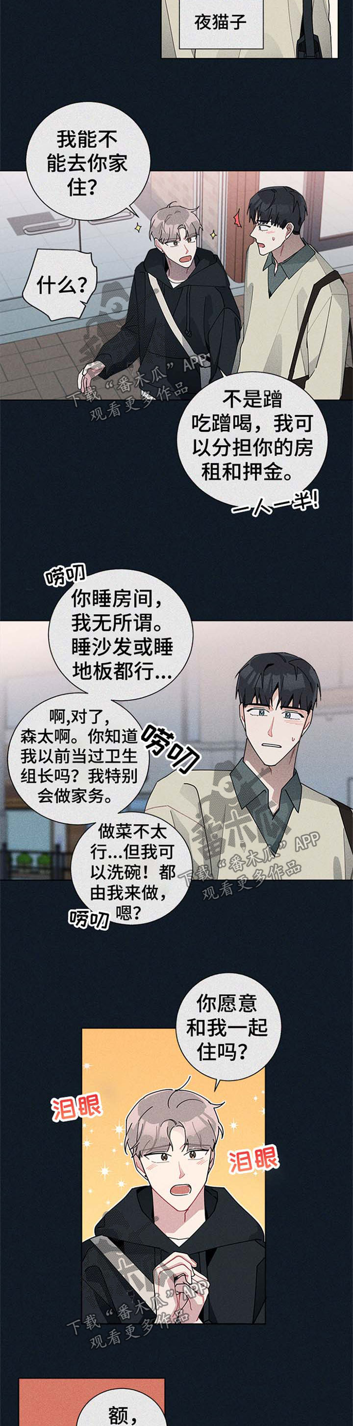 暗生情愫漫画,第65章：等你答复5图
