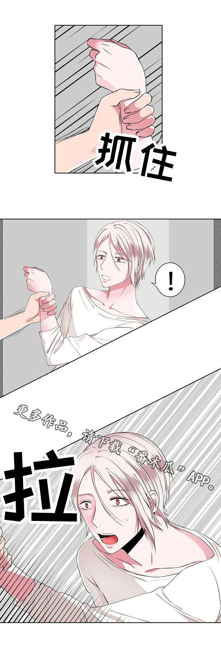 奇异的租客漫画,第8章：质问3图