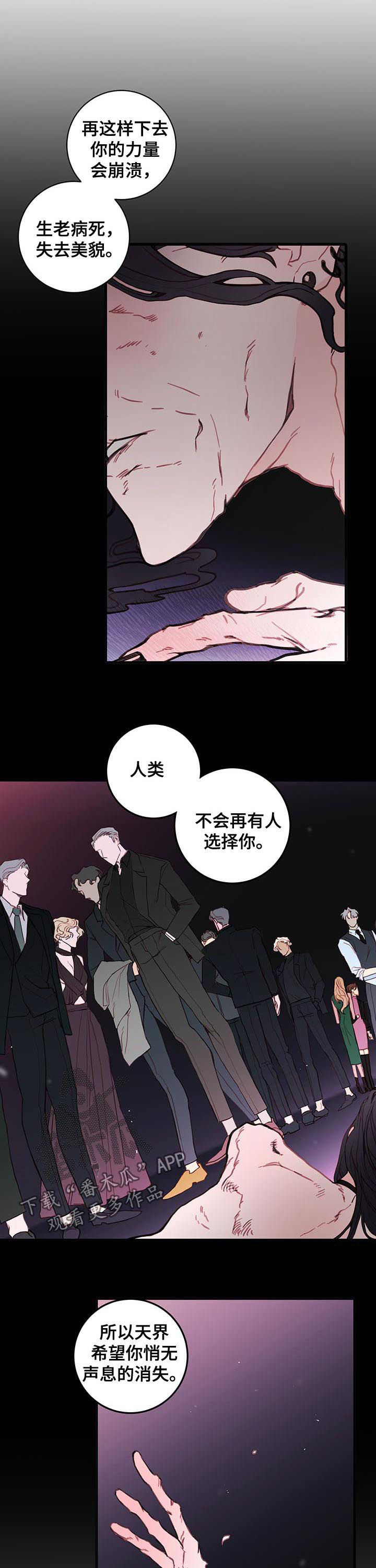 恶魔的合约漫画,第53章：谎言3图