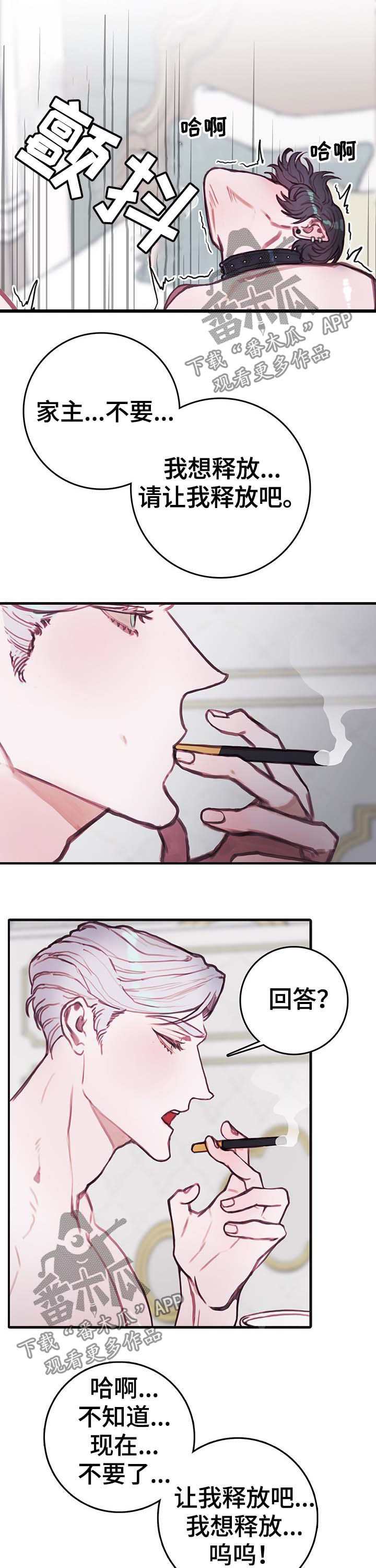 恶魔的合约漫画,第16章：勾引2图