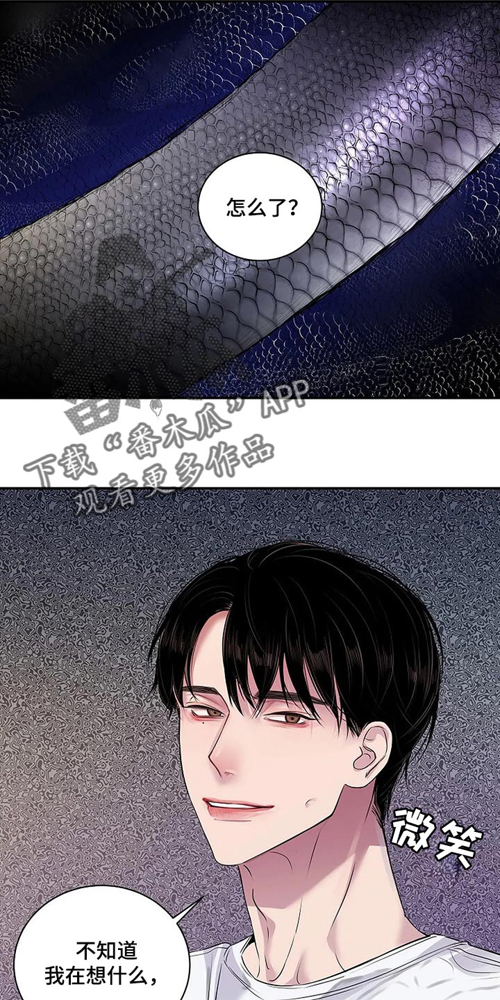 毒蛇的天敌漫画,第60章：复杂的关系【完结】1图