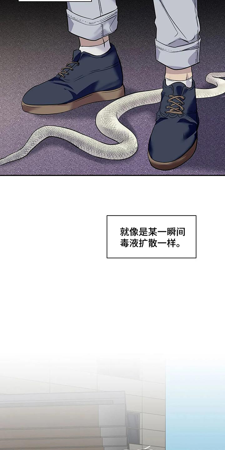 毒蛇的天敌漫画,第60章：复杂的关系【完结】5图