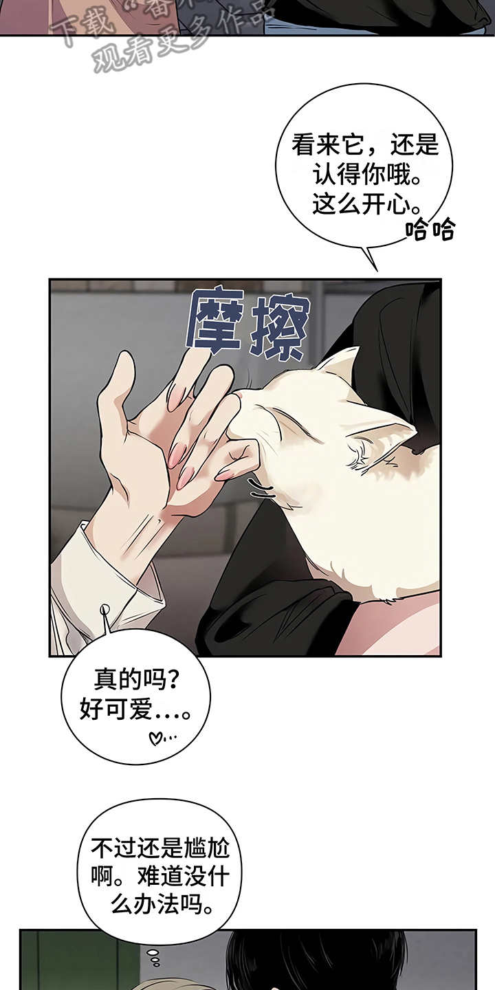 毒战漫画,第21章：很顺利3图