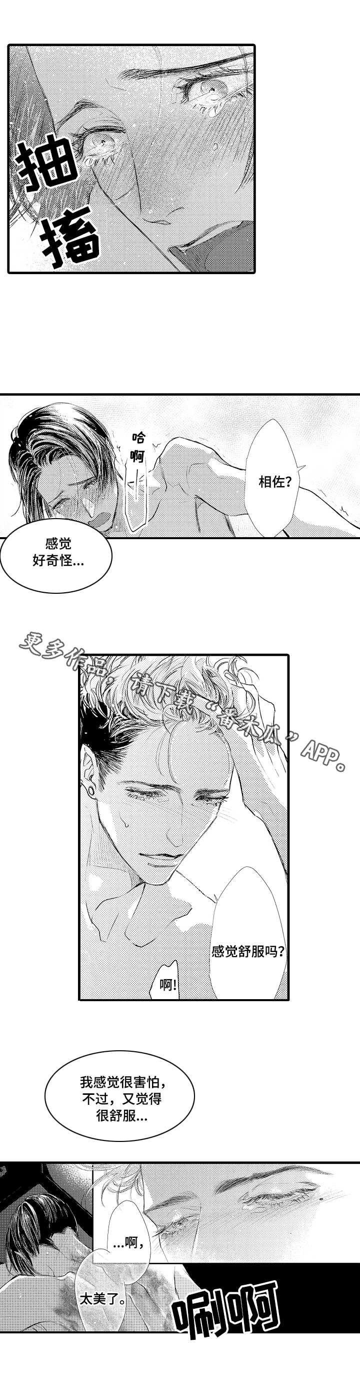 完美的作品漫画,第13章：捕猎者1图