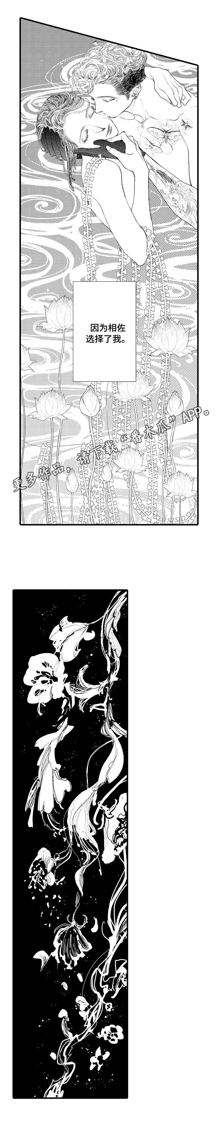 完美的作品漫画,第20章：选择5图
