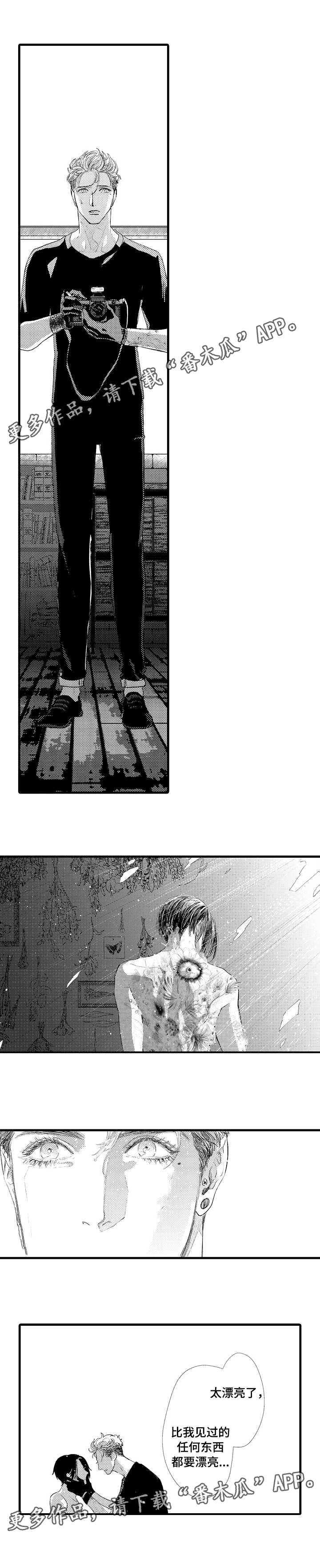 完美的作品漫画,第20章：选择2图