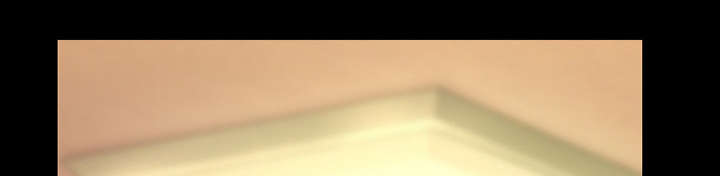 死亡的假象漫画,第39章：好好工作2图