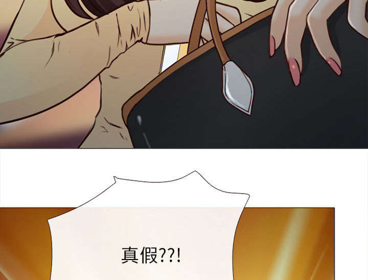 死亡的假象漫画,第51章：上层酒会3图