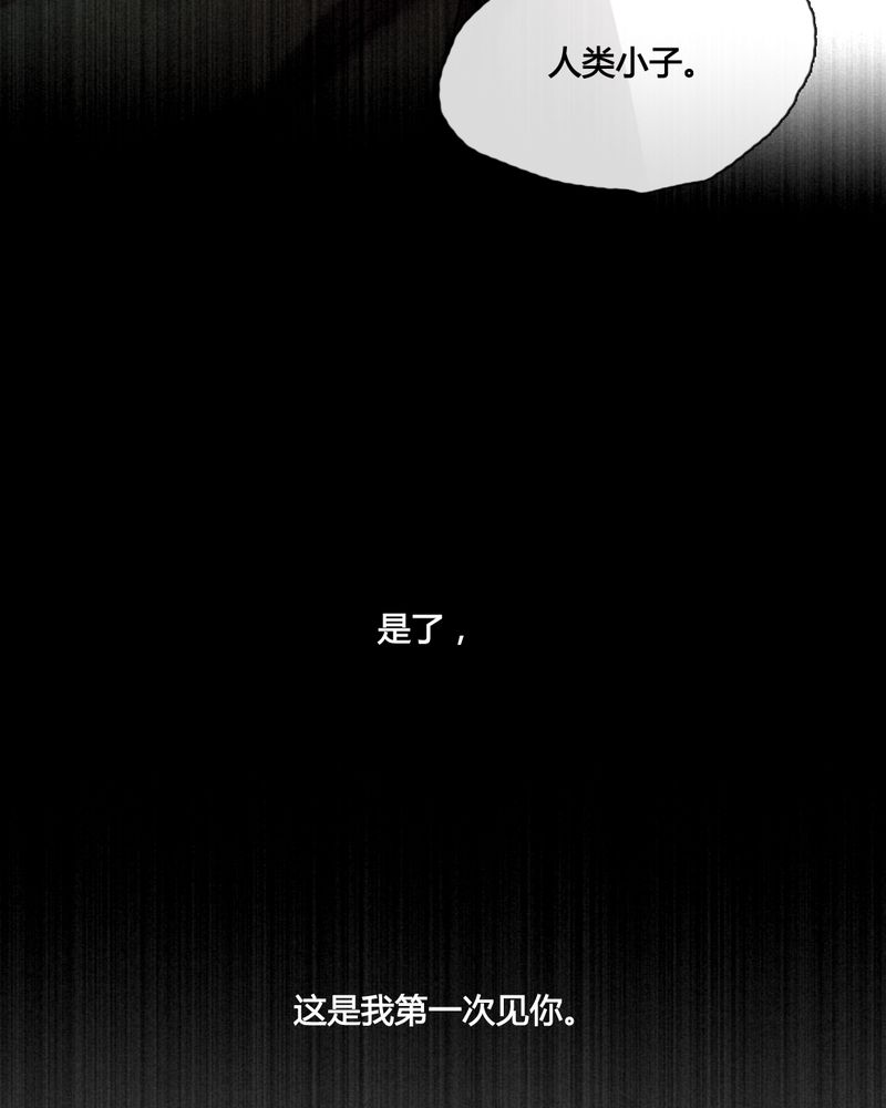 夜未央沈阳老板是谁漫画,第42章：5图