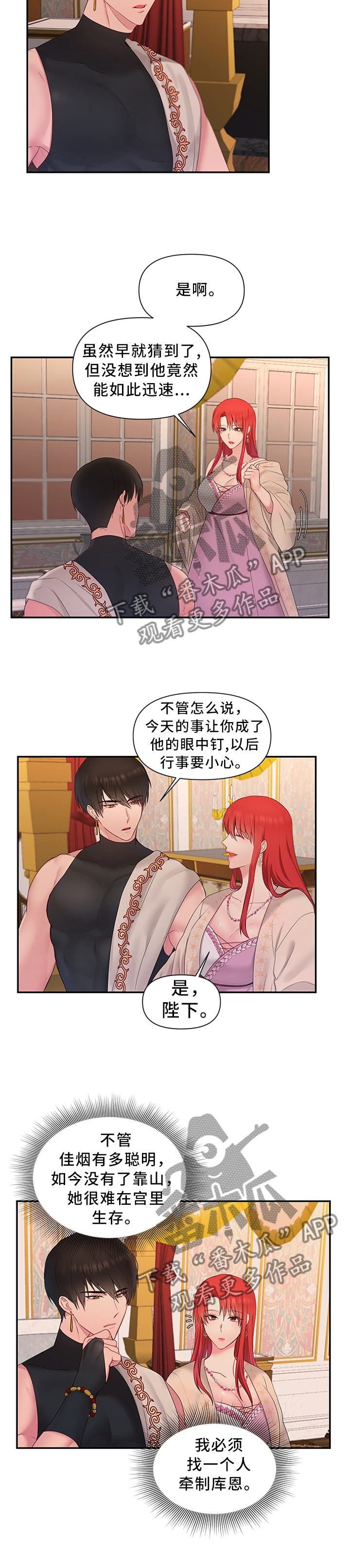 陌生王妃漫画,第48章：下一步的计划4图