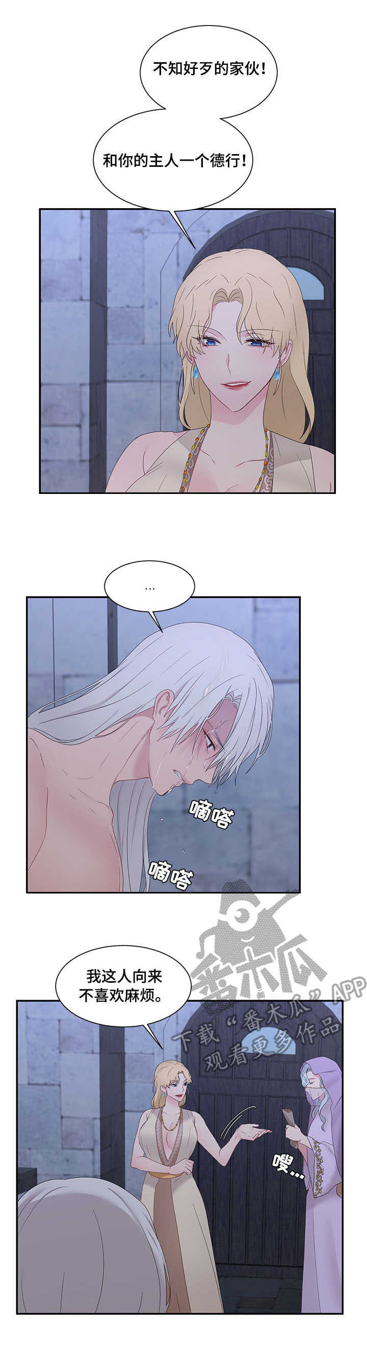 陌生王妃漫画,第24章：责罚3图