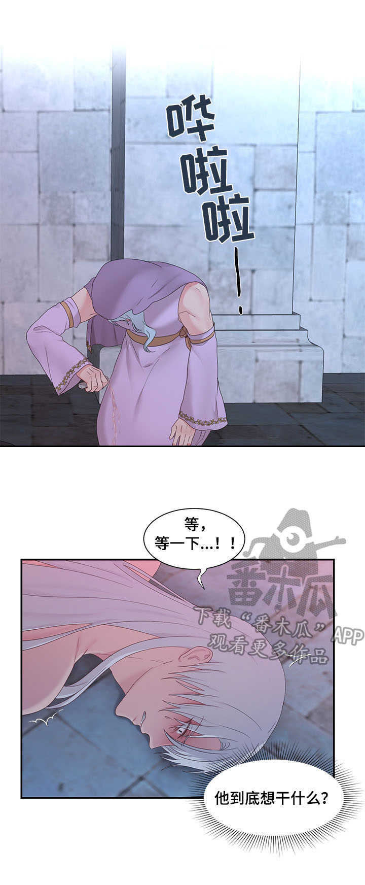 陌生王妃漫画的作者是谁漫画,第25章：鞭刑5图