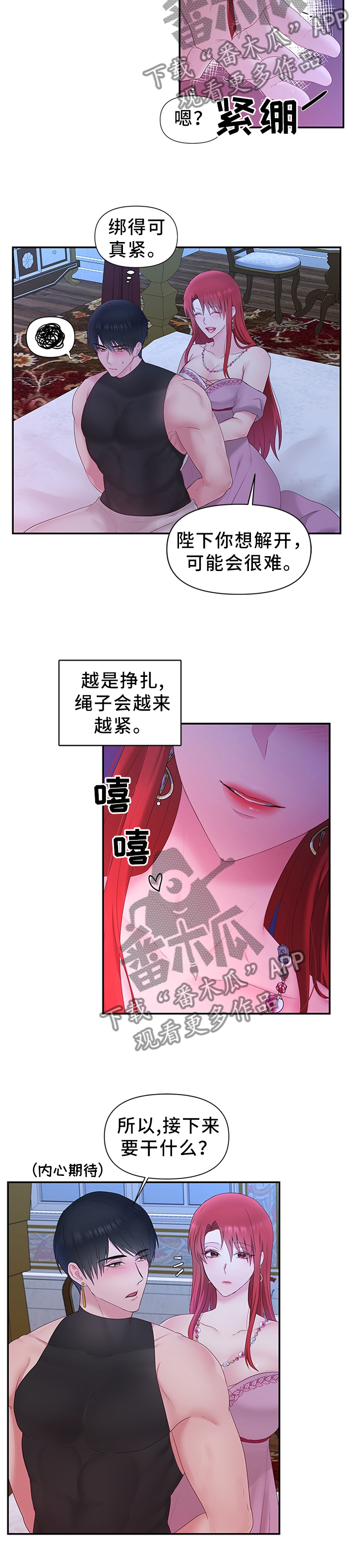 陌生王妃漫画,第48章：下一步的计划4图