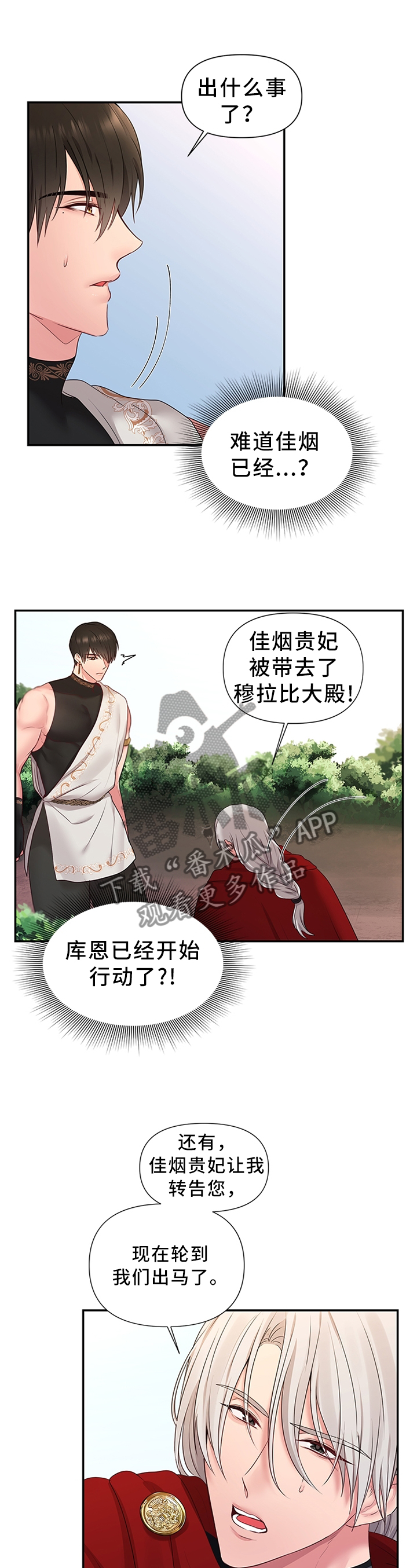 陌生王妃漫画,第54章：机会4图