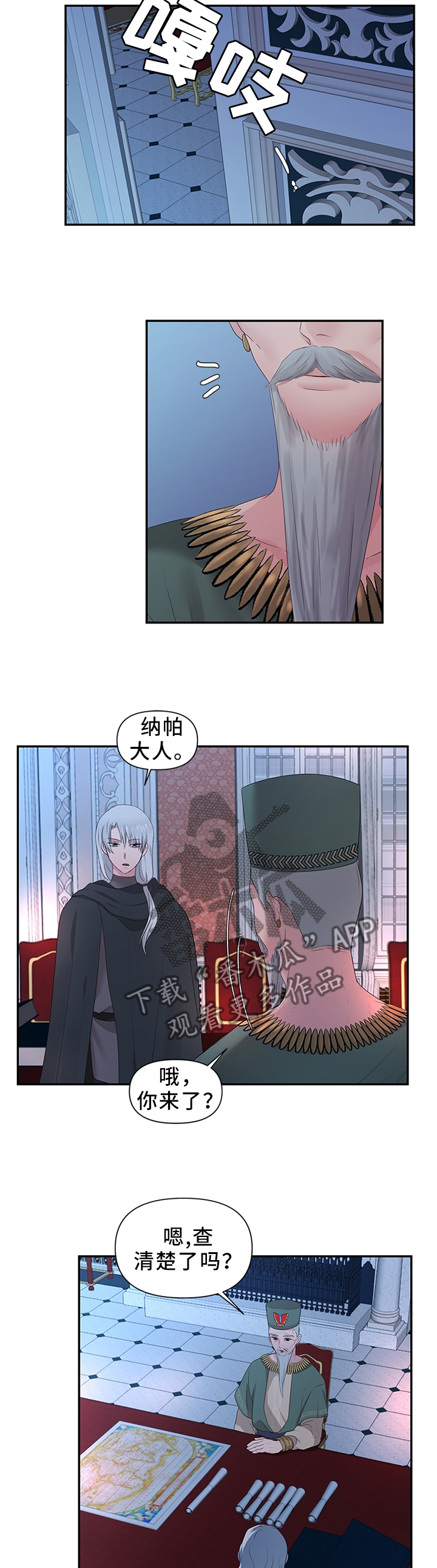 陌生王妃漫画在线观看漫画,第44章：调查清楚3图