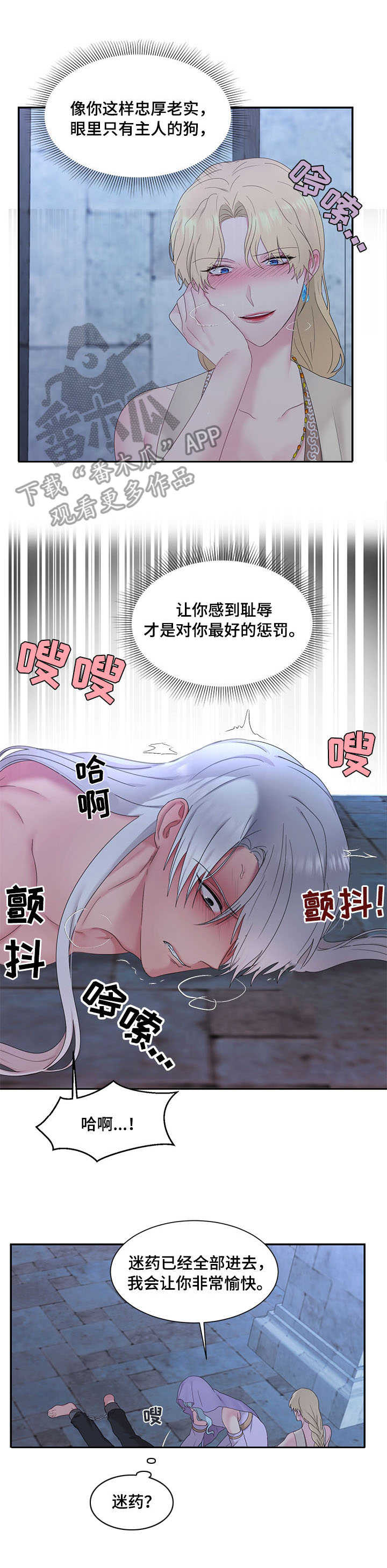 陌生王妃漫画,第25章：鞭刑2图