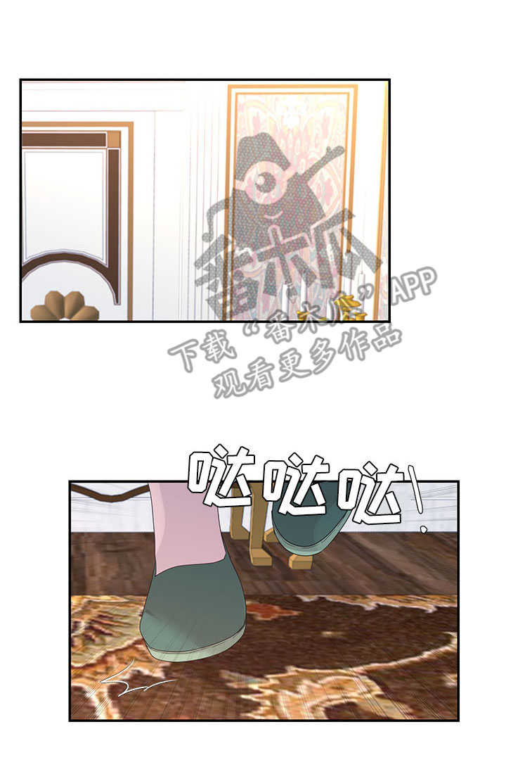 陌生王妃漫画,第27章：计策3图