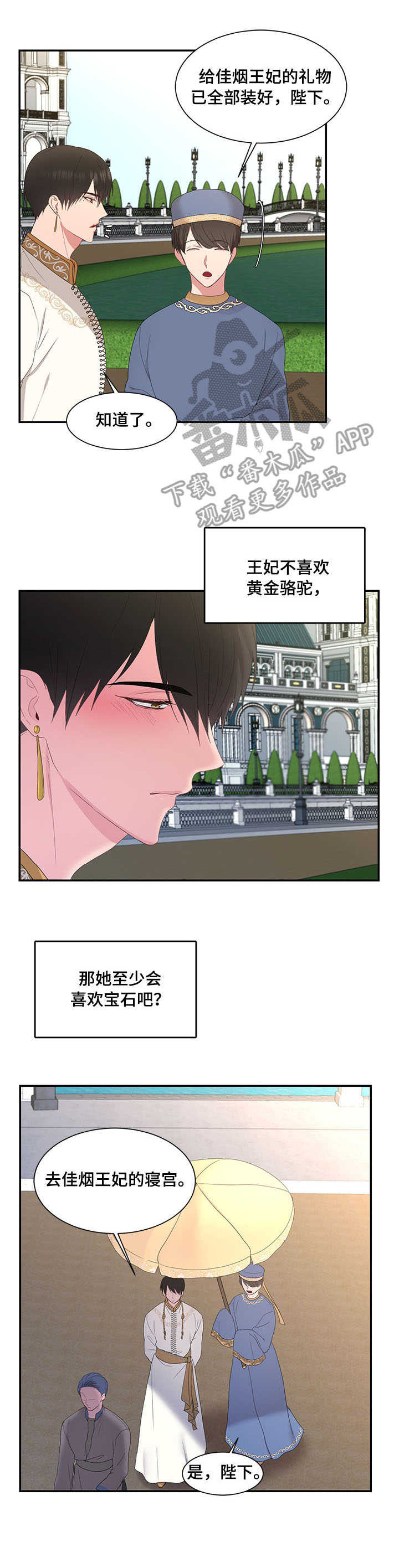 陌生王妃漫画,第27章：计策2图