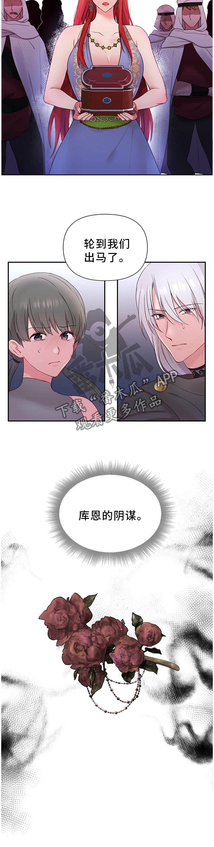 陌生王妃漫画,第54章：机会5图