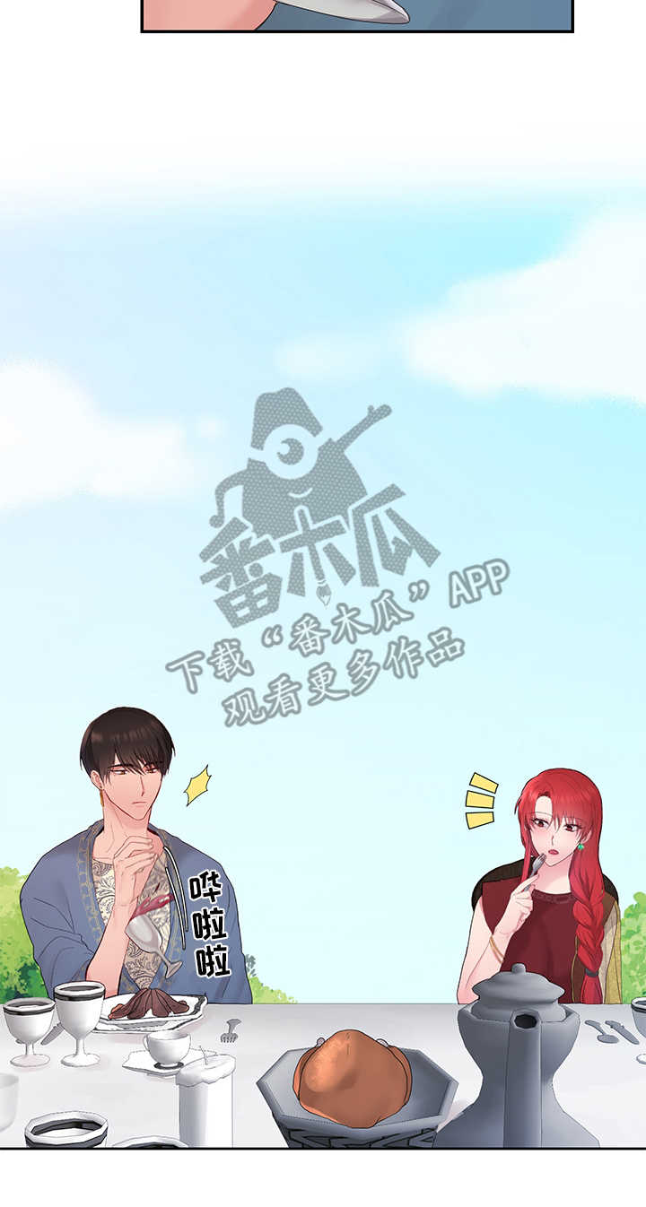 陌生王妃漫画的作者是谁漫画,第13章：宴会1图