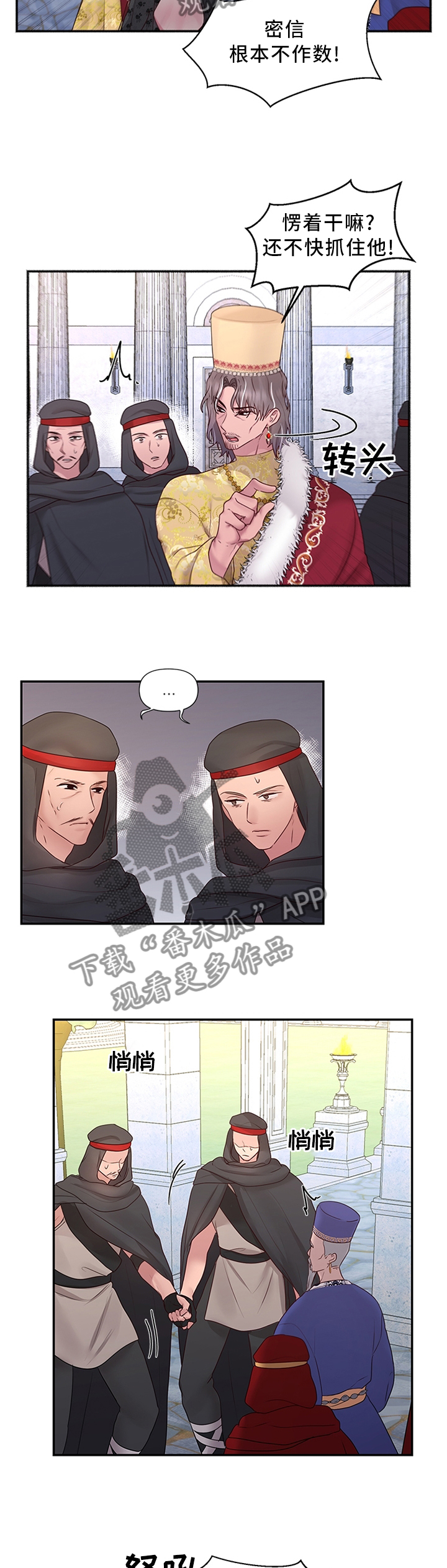 陌生王妃漫画,第60章：可以反击了5图