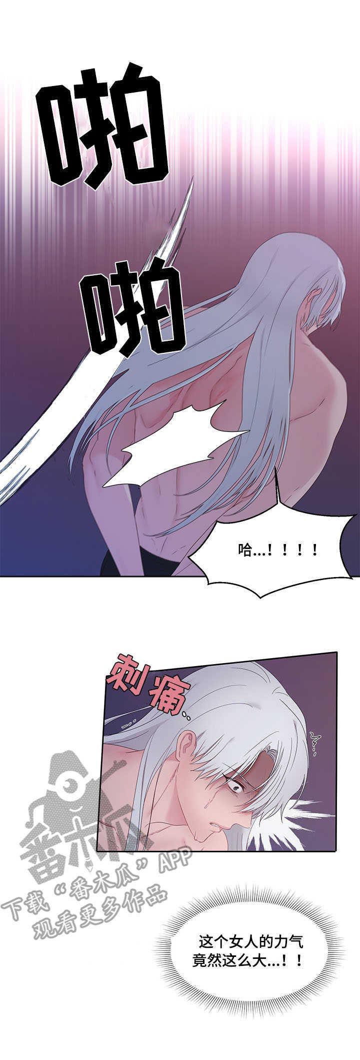 陌生王妃漫画的作者是谁漫画,第25章：鞭刑5图