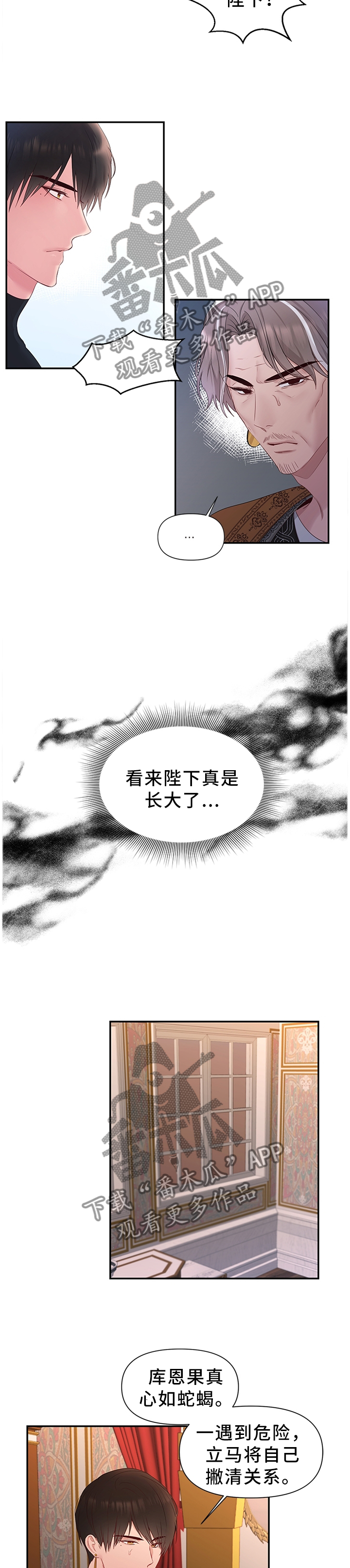 陌生王妃漫画,第48章：下一步的计划3图