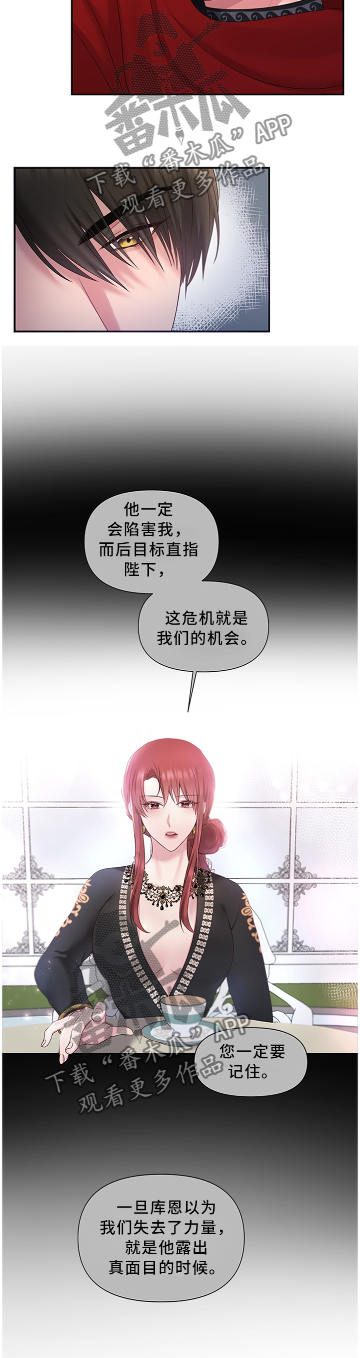 陌生王妃漫画,第54章：机会5图