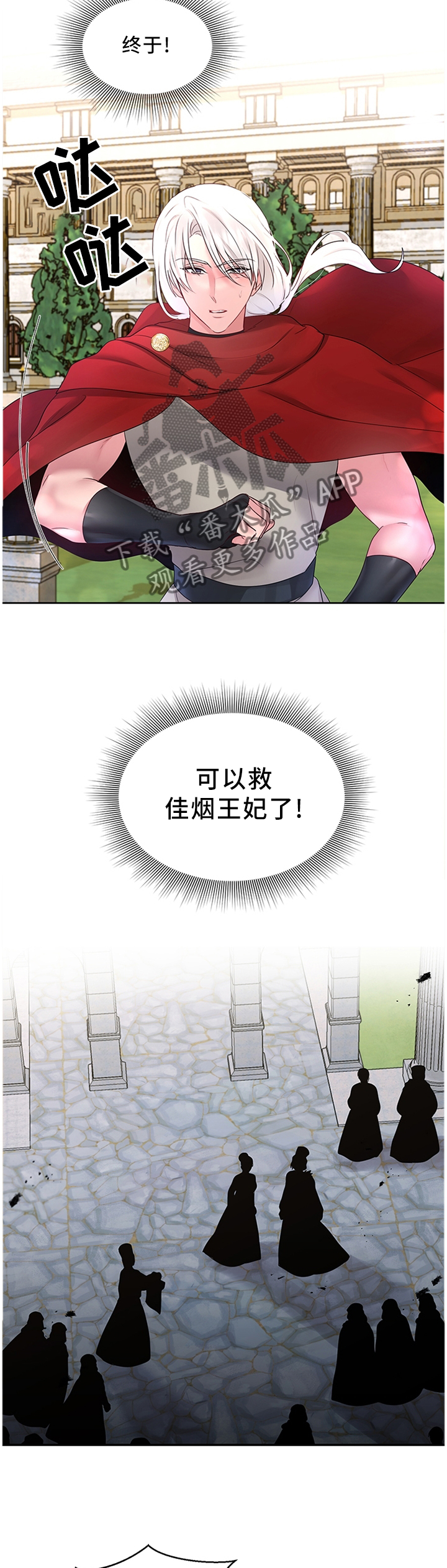 陌生王妃漫画,第60章：可以反击了3图