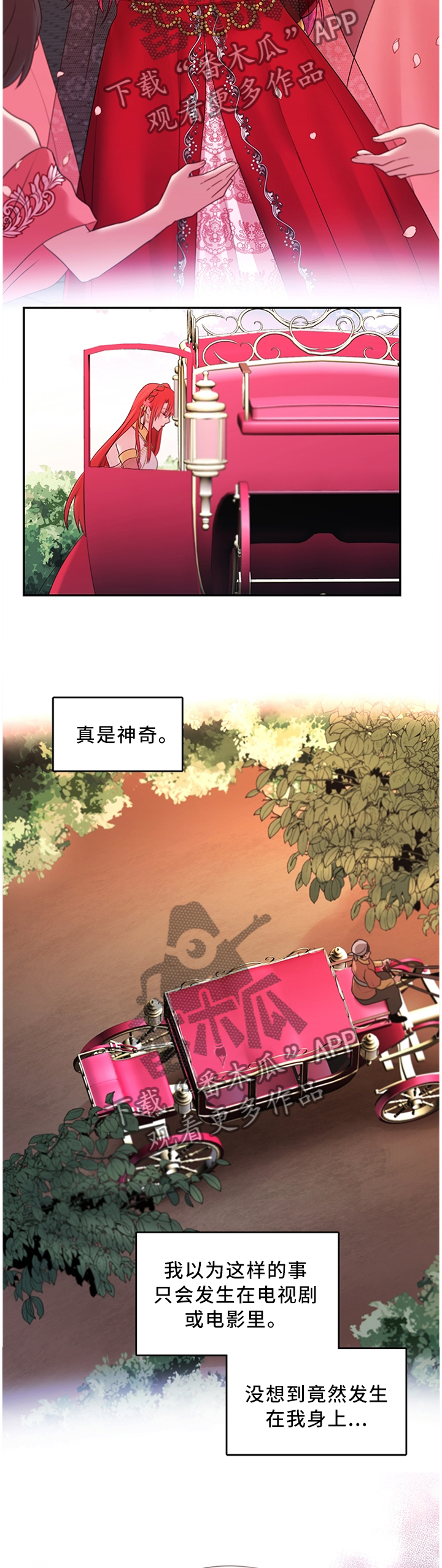陌生王妃漫画,第62章：女王花4图