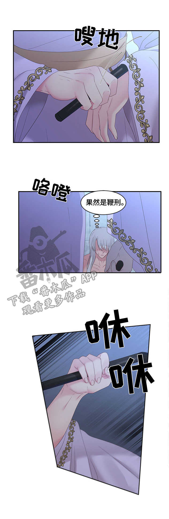 陌生王妃漫画的作者是谁漫画,第25章：鞭刑4图