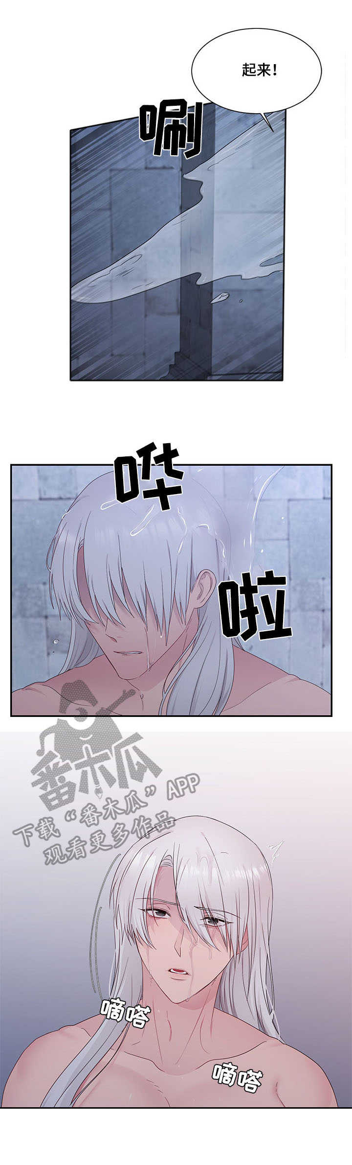 陌生王妃漫画,第24章：责罚1图