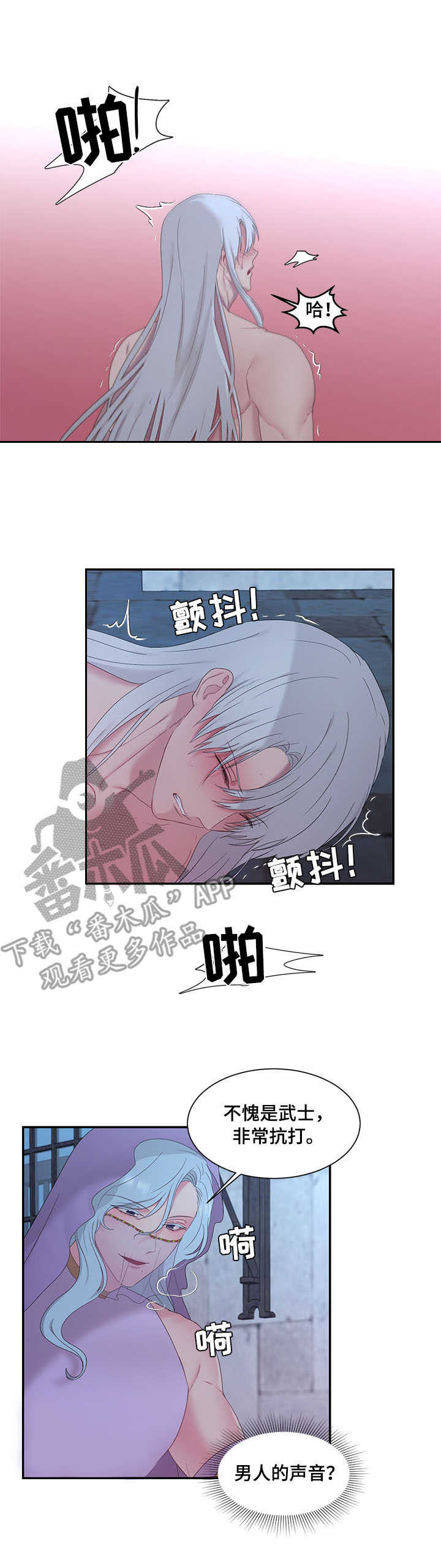 陌生王妃漫画的作者是谁漫画,第25章：鞭刑3图