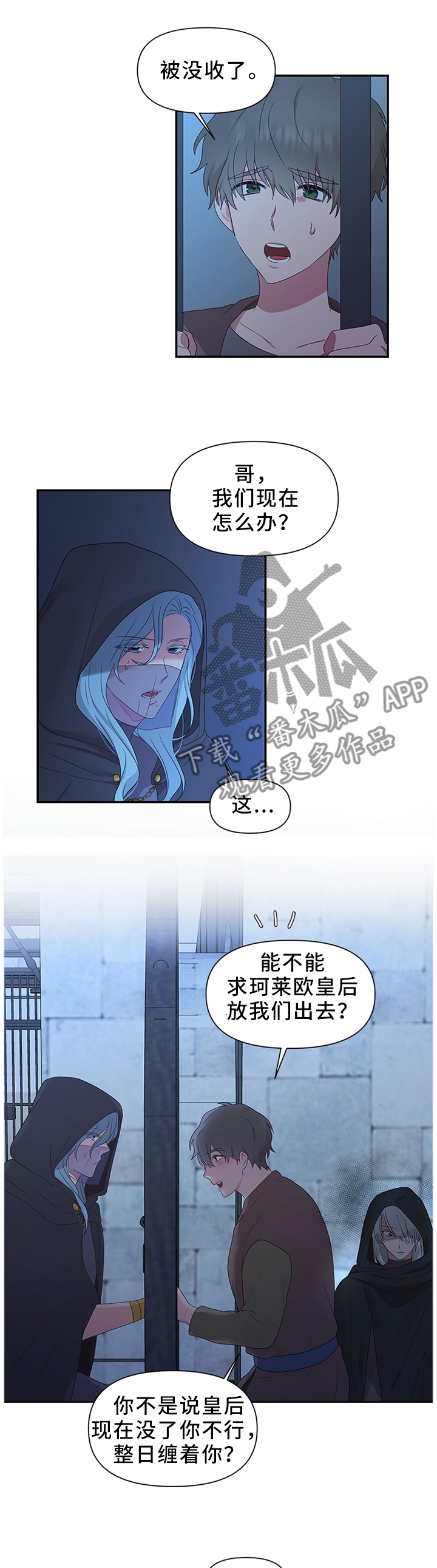 陌生王妃漫画在线观看漫画,第44章：调查清楚1图