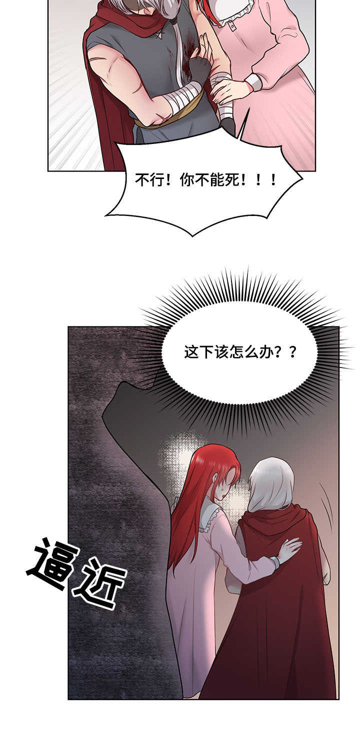 陌生王妃漫画,第2章：士兵3图