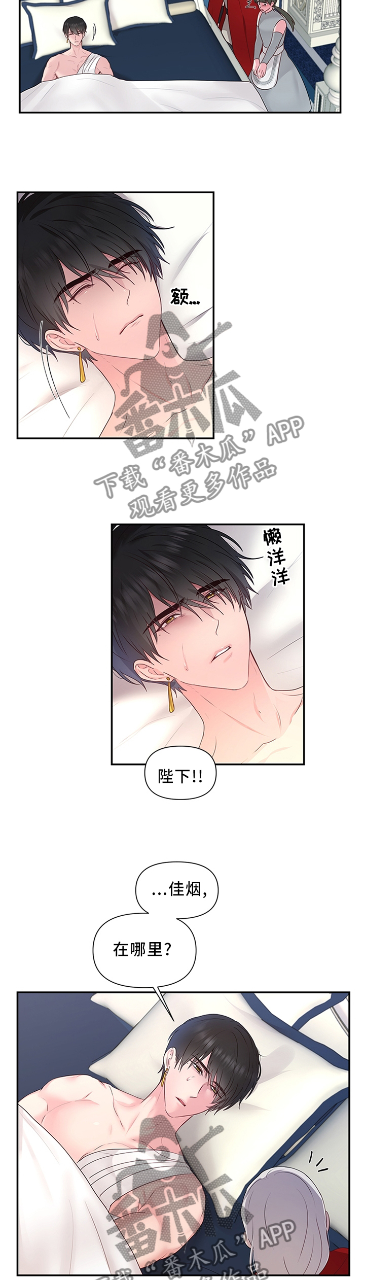 陌生王妃漫画,第60章：可以反击了1图