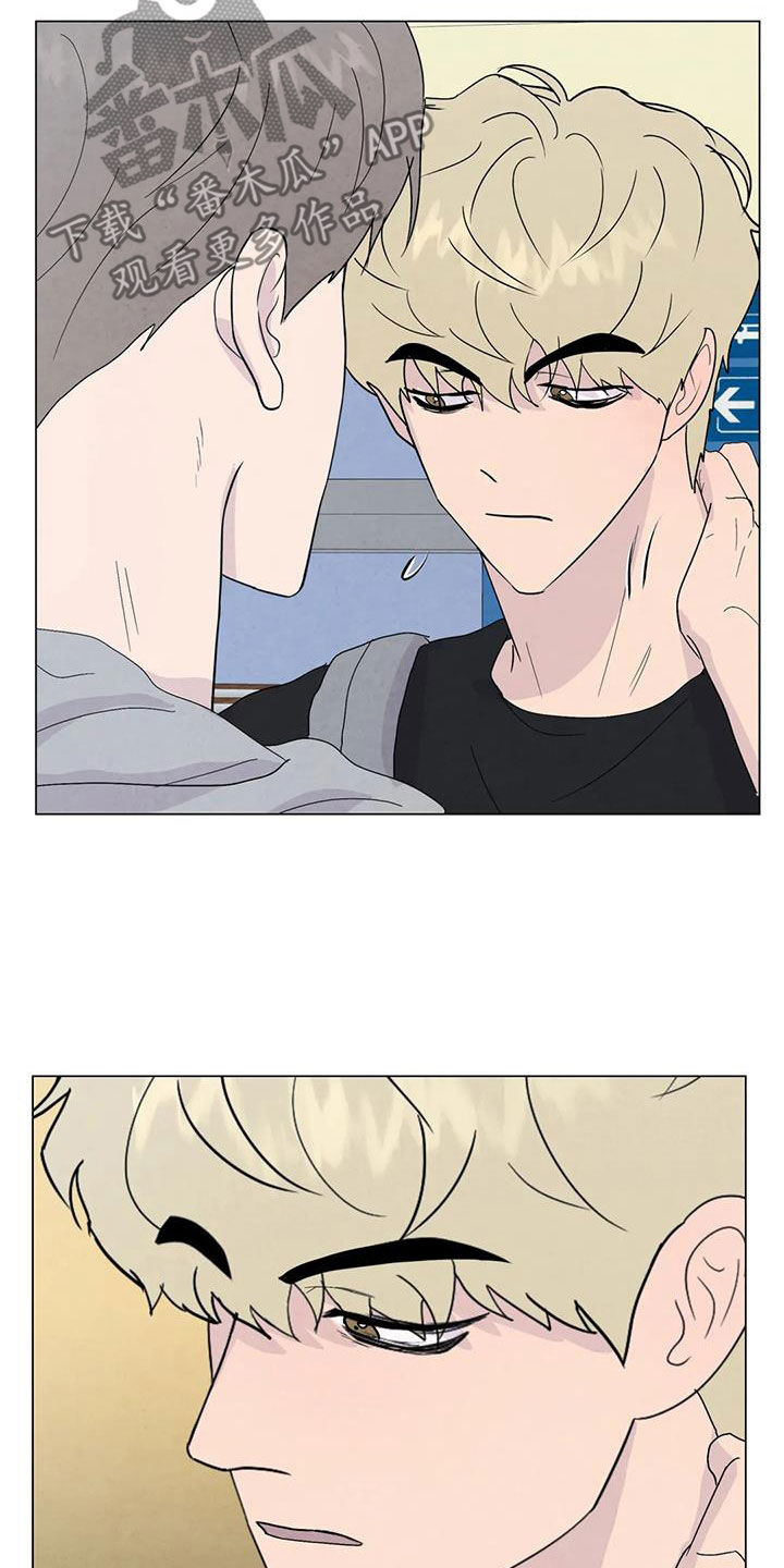 断尾求生漫画,第110章：【番外】夏威夷定居4图