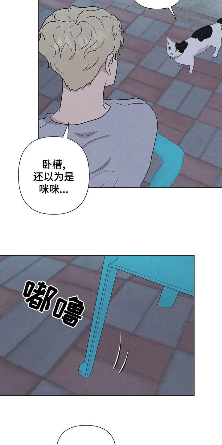 断尾求生漫画,第83章：【第二季 】台阶4图